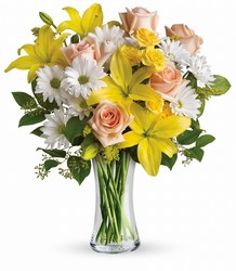 Daisies and Sunbeams Cottage Florist Lakeland Fl 33813 Premium Flowers lakeland